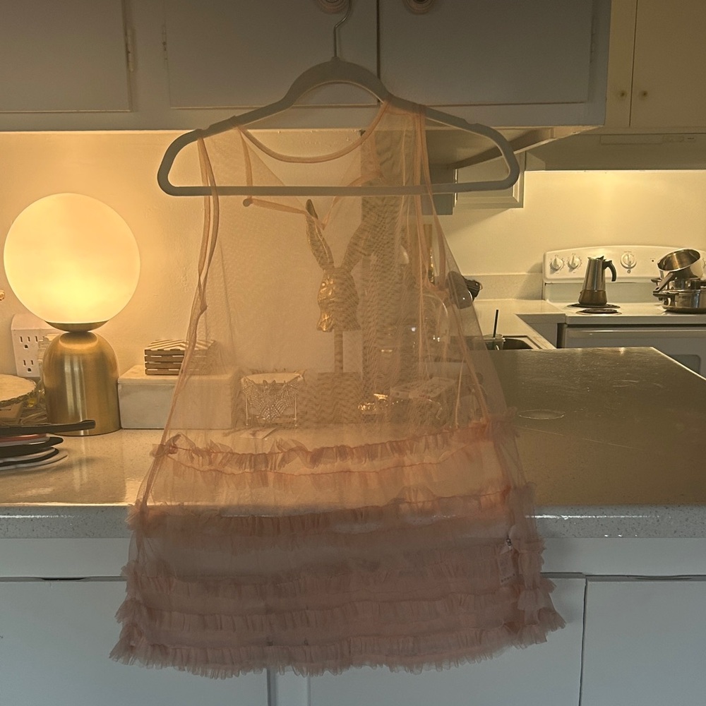 Sheer Ruffled Dress